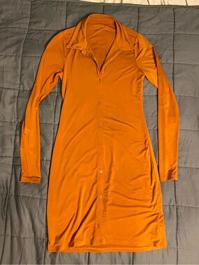 Abercrombie & Fitch Long-Sleeve Button-Front Dress in Rust